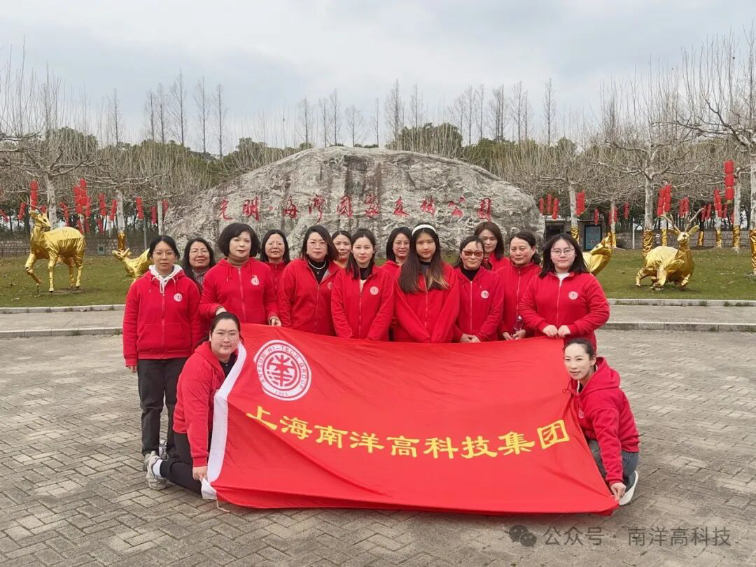 万物随春醒，“梅”好皆可期——南洋巾帼绽芳华