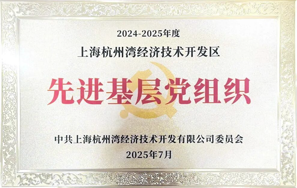 喜报 党建三元甲，再显南洋风——南洋党支部荣获杭州湾开发区2024-2025年度“两优一 先”表彰